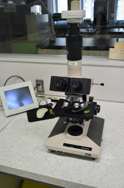 生物顕微鏡の写真