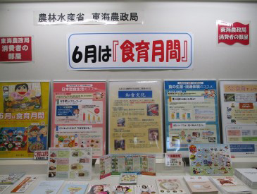 展示の様子