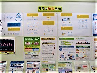 企画展示　中央